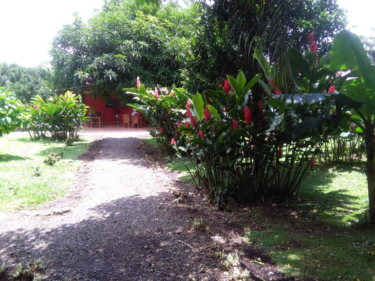 Paraiso Volcano Lodge Guayabo  المظهر الخارجي الصورة