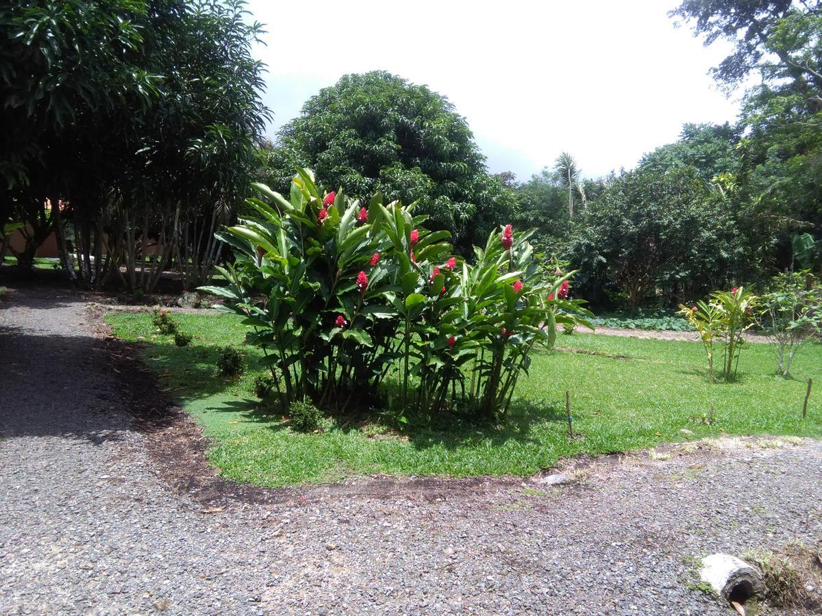 Paraiso Volcano Lodge Guayabo  المظهر الخارجي الصورة