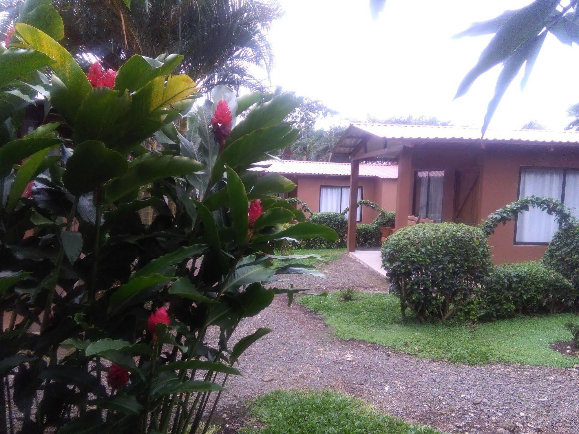 Paraiso Volcano Lodge Guayabo  المظهر الخارجي الصورة